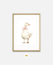 Blush Duck