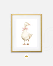 Blush Duck