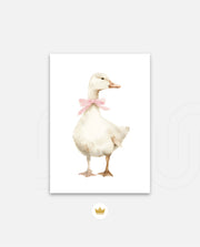 Blush Duck