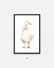 Blush Duck