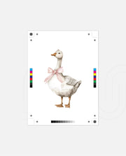 Blush Goose