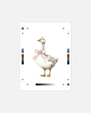 Blush Goose