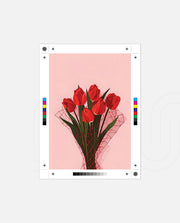 Red Tulip Bouquet