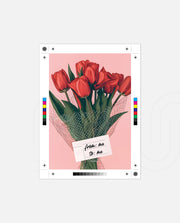 From Me To Me Tulips