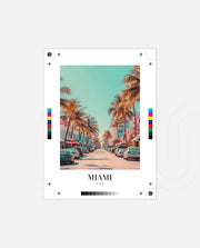 Miami Palms