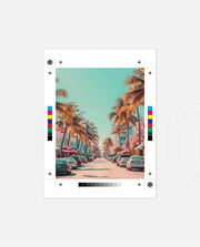 Miami Palms