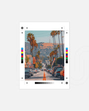 LA Palm Street