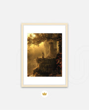 Golden Forest Dream