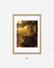 Golden Forest Dream