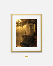 Golden Forest Dream