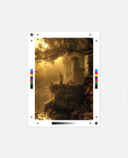 Golden Forest Dream