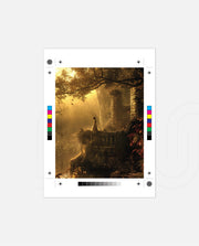 Golden Forest Dream
