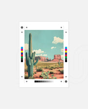 Arizona Desert Vista