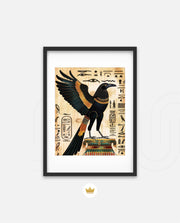 Sacred Falcon