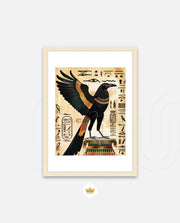 Sacred Falcon