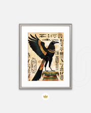 Sacred Falcon