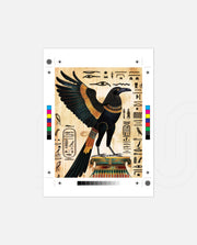 Sacred Falcon