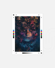 Dream Whisper