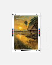 Golden Rice Sunset