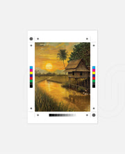 Golden Rice Sunset