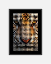 White Tiger Amber Dots