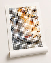White Tiger Amber Dots