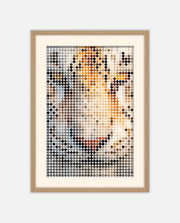 White Tiger Amber Dots