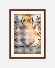 White Tiger Amber Dots