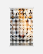 White Tiger Amber Dots
