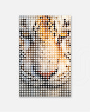 White Tiger Amber Dots