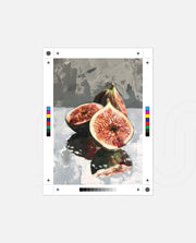 Fig Still