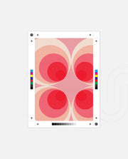 Retro Rose Orbits