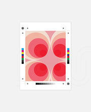 Retro Rose Orbits
