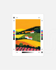 Golden Fields