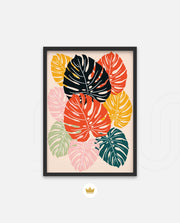 Monstera Medley