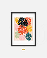 Monstera Medley
