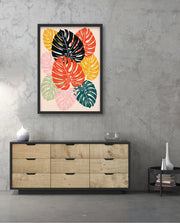 Monstera Medley