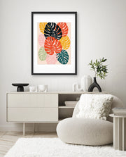 Monstera Medley