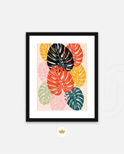 Monstera Medley