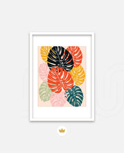 Monstera Medley