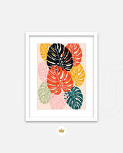 Monstera Medley