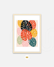 Monstera Medley