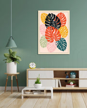 Monstera Medley