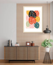 Monstera Medley