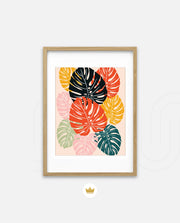 Monstera Medley