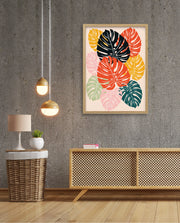 Monstera Medley