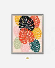 Monstera Medley