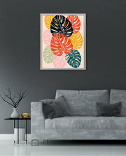 Monstera Medley