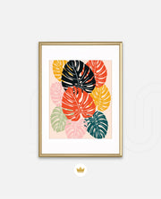 Monstera Medley