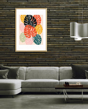 Monstera Medley